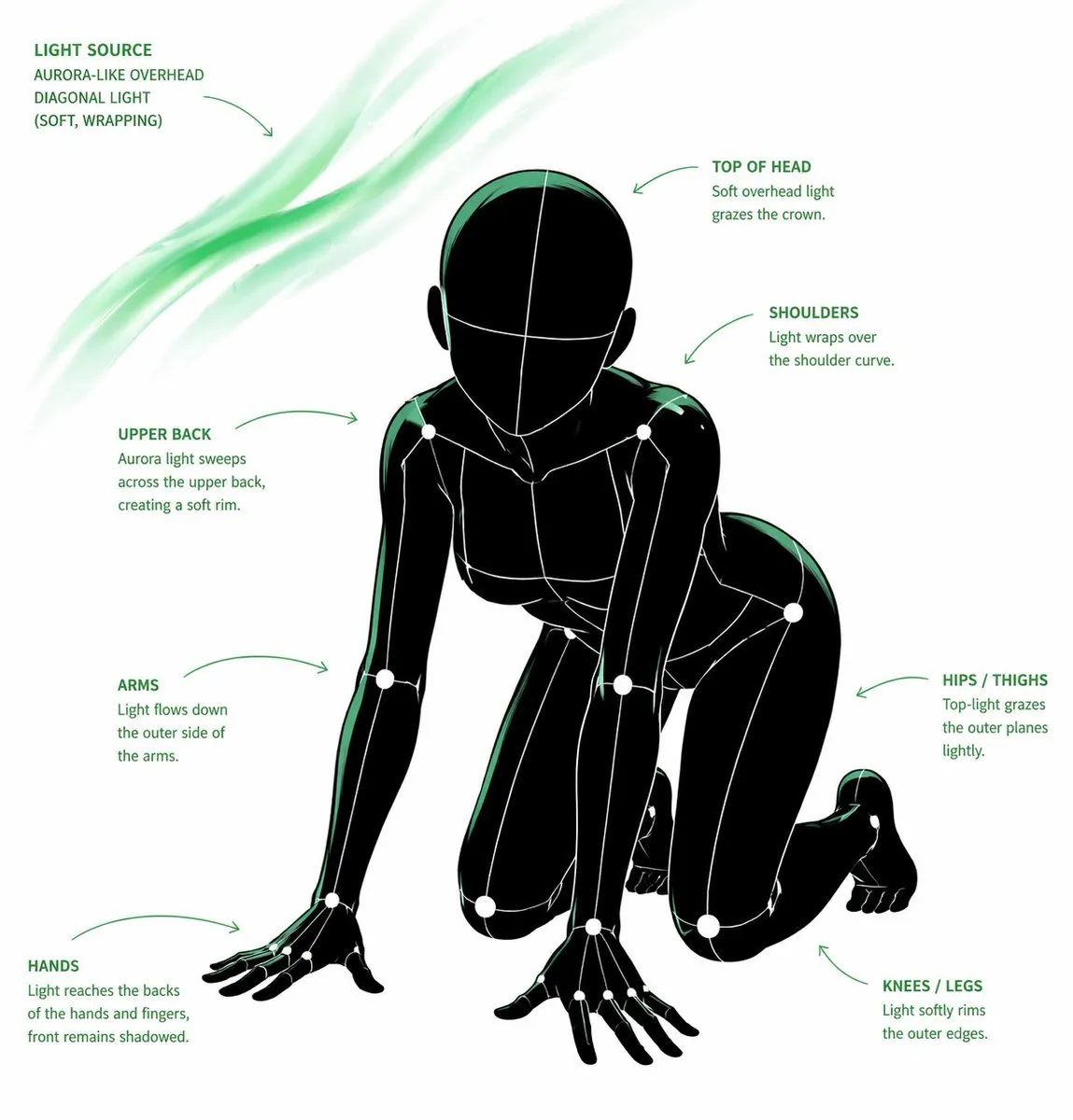 Pose & Light Anatomy Analysis Sheet